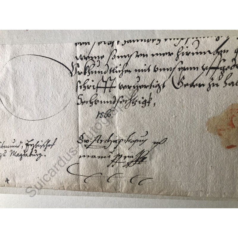 Halle 1566 - Brieffragment mit eigenhändiger Unterschrift