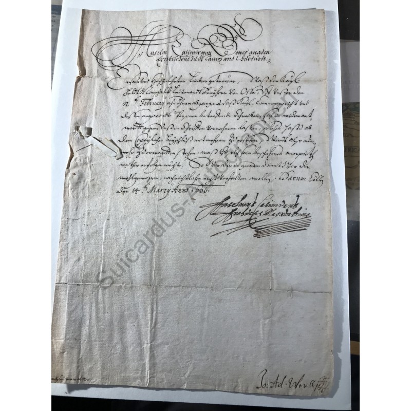 Köln, 14. März 1636 - Brief mit eigenhändiger Unterschrift