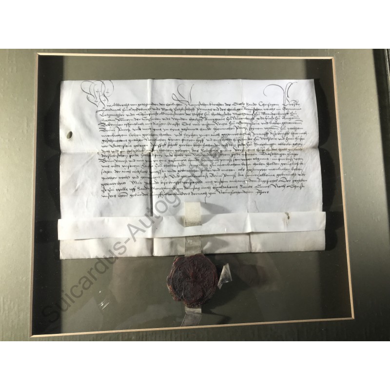 Halle, 15. September 1519 - Belehnungsurkunde