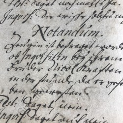 Gotha 1675-1672 - Akten eines Hexenprozesses