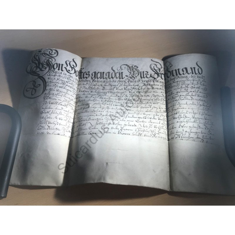 München | 09.01.1669, Donationsurkunde